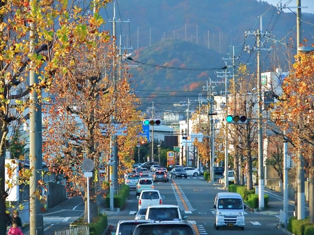車道