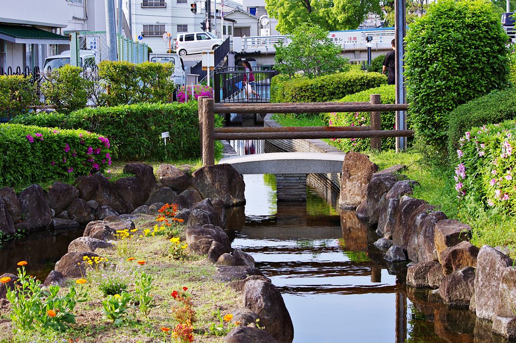 摂津市の川の風景