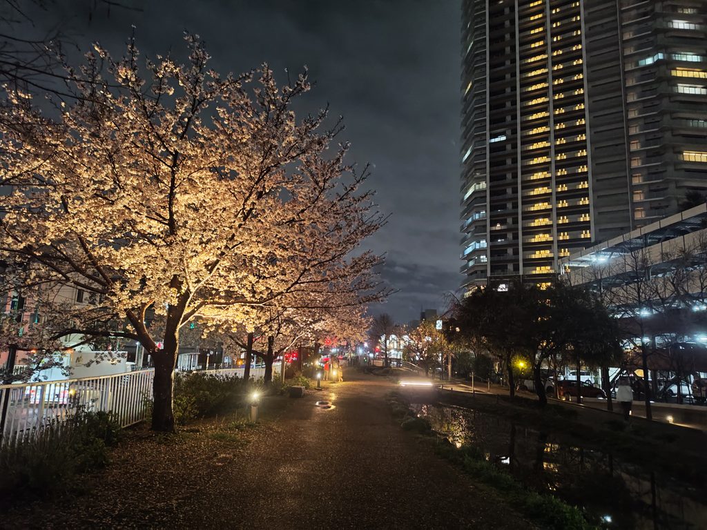 摂津市の夜の画像