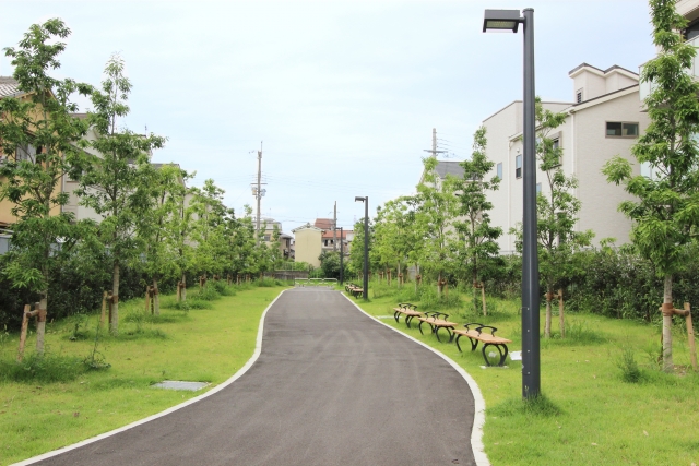 緑豊かで綺麗に整備された公園の遊歩道とベンチ