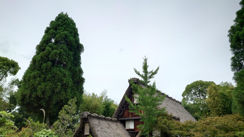茅葺き屋根の古民家と木々