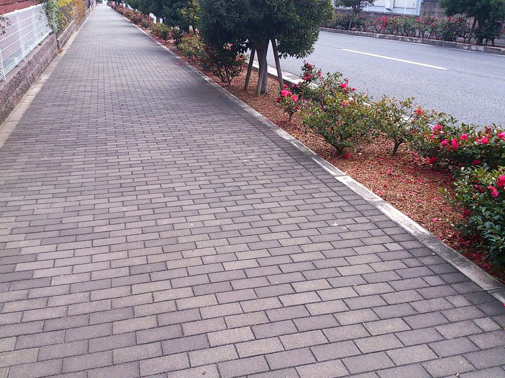 整備された歩道と植え込みの続く住宅地の通り