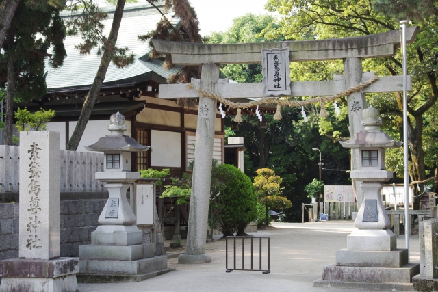  「素盞嗚尊神社」と刻まれた石碑と、鳥居や石灯籠が並ぶ境内の風景
