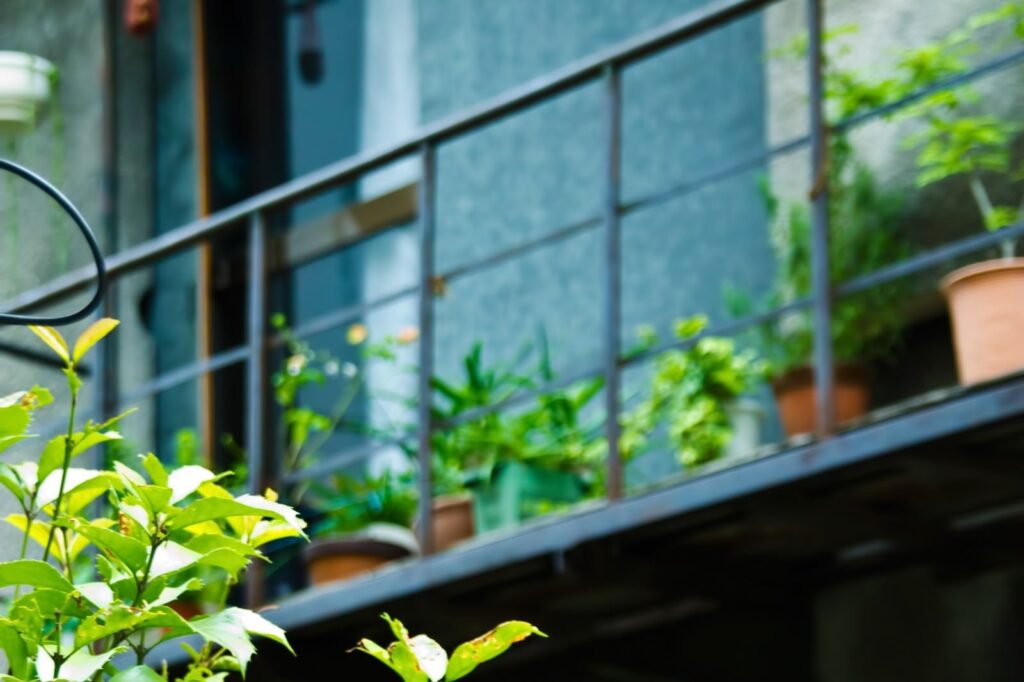 植木鉢が並ぶ、築年数のたった集合住宅のベランダ