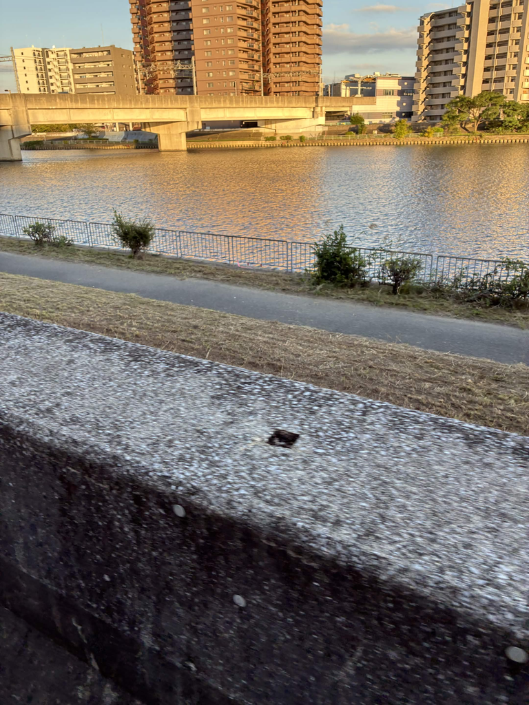 神崎川①