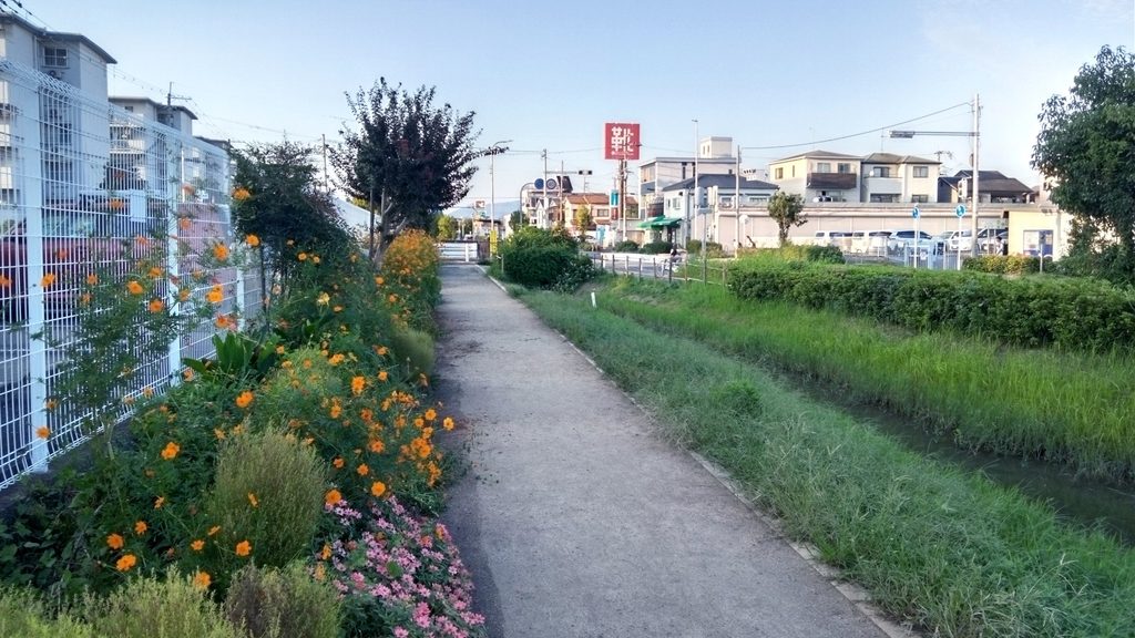 府道19号線界隈